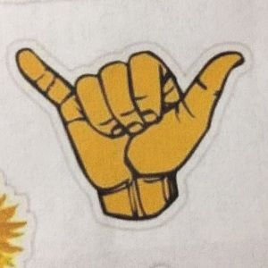 Meet your Posher, Ilana